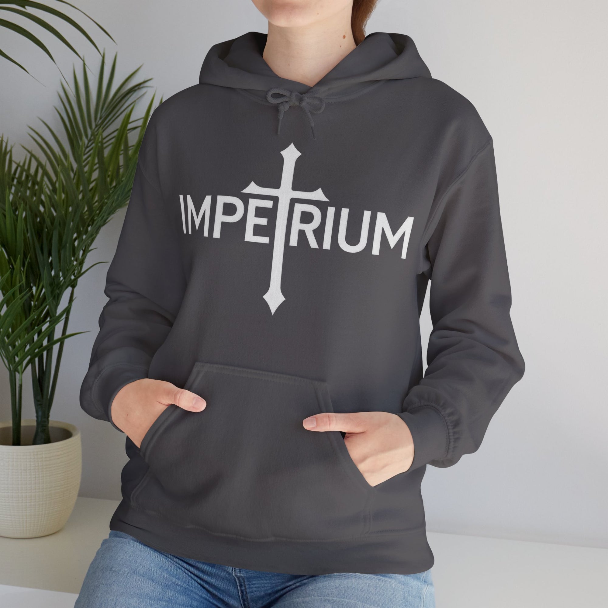 Pravinci Imperium Monocromia - Charcoal Hooded Sweatshirt