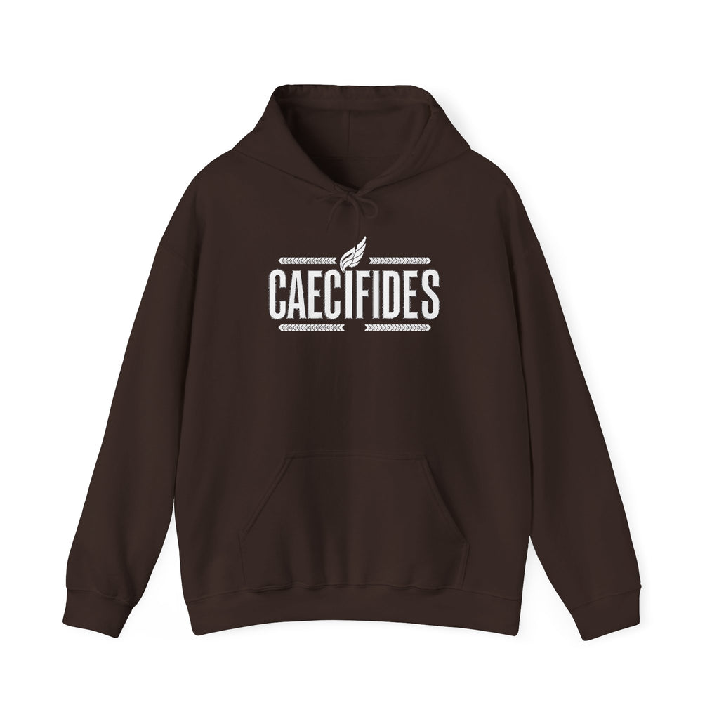 Pravinci Caecifides Monocromia – Dark Brown Hooded Sweatshirt