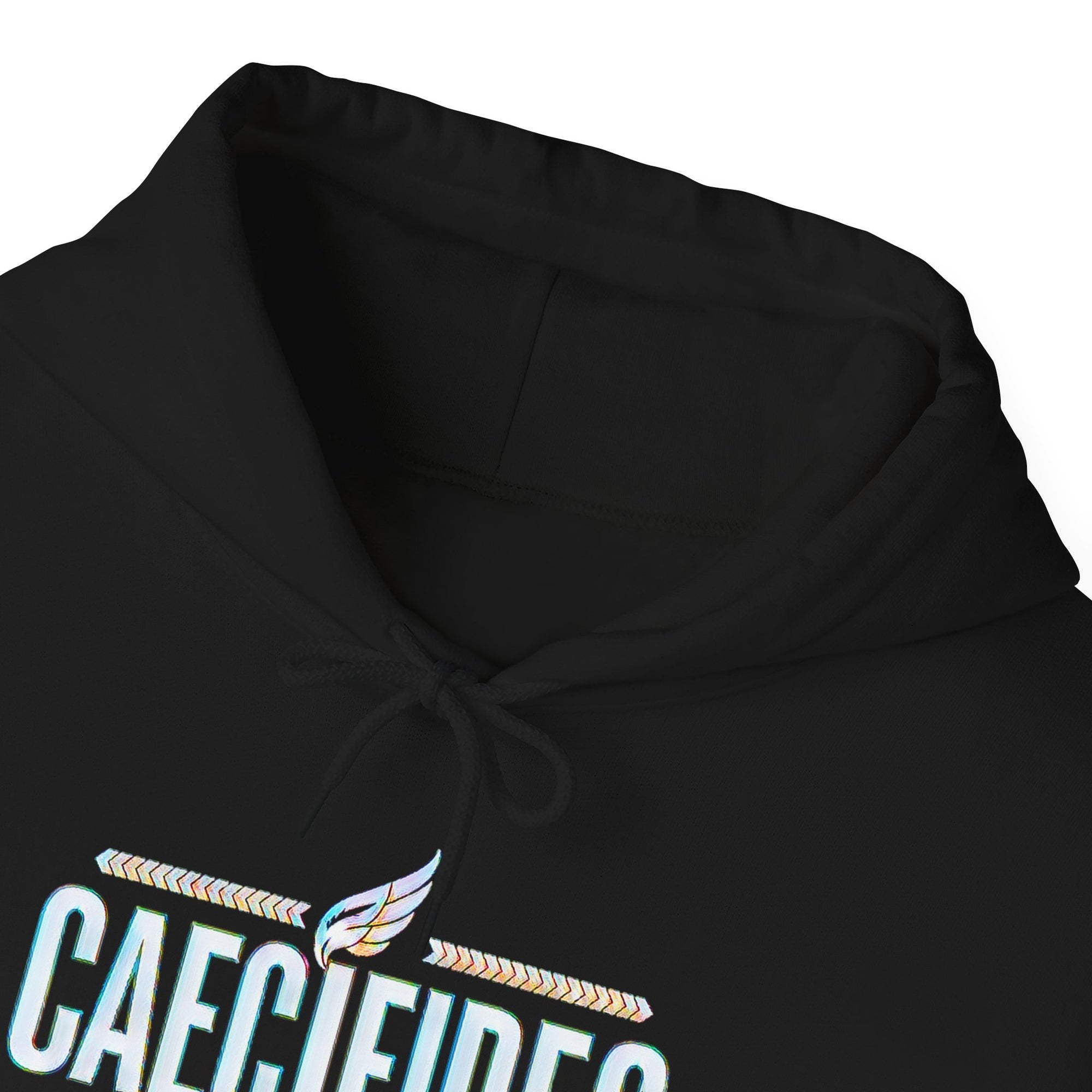 Pravinci Caecifides Iridescente – Black Hooded Sweatshirt