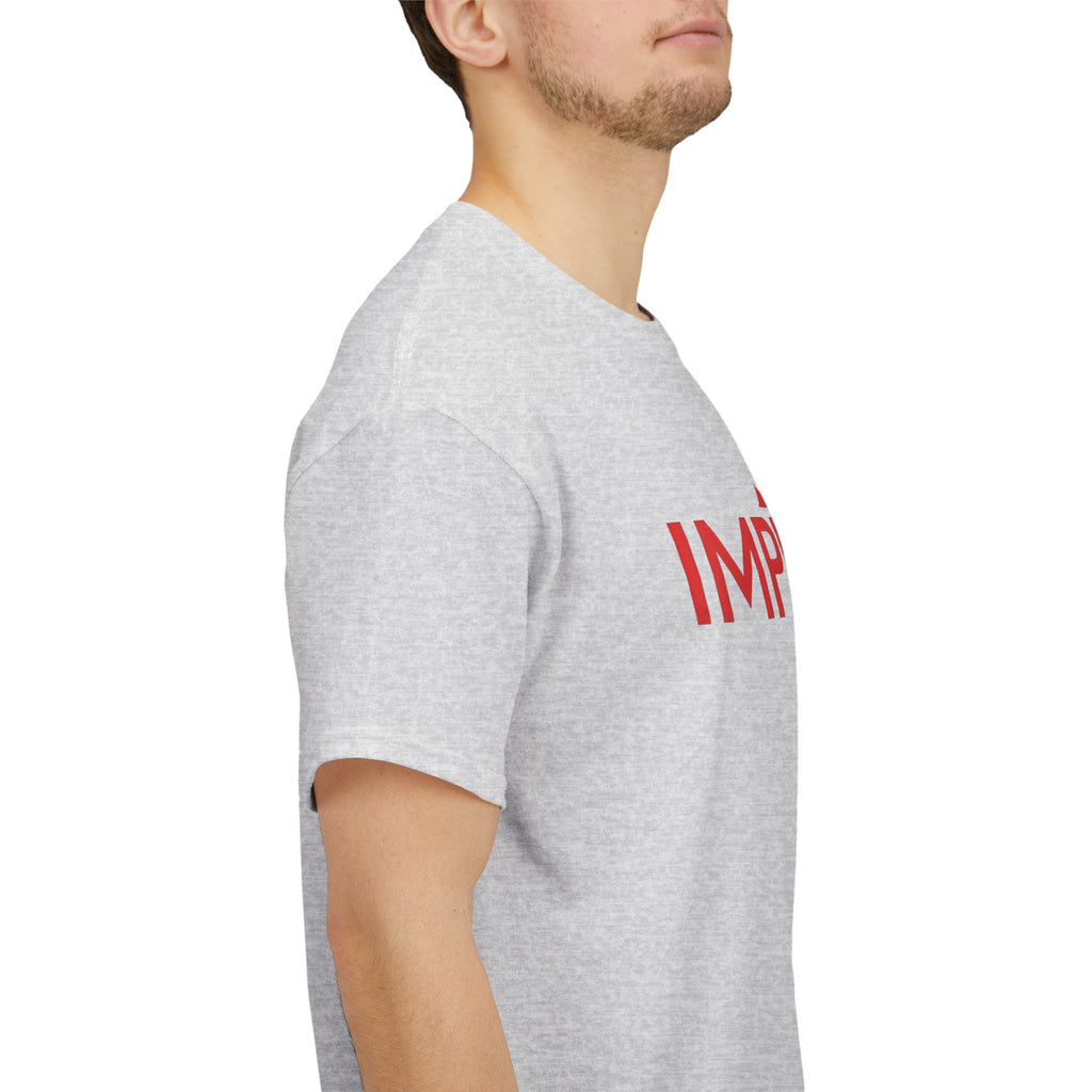 Pravinci Imperium - Ash T-Shirt