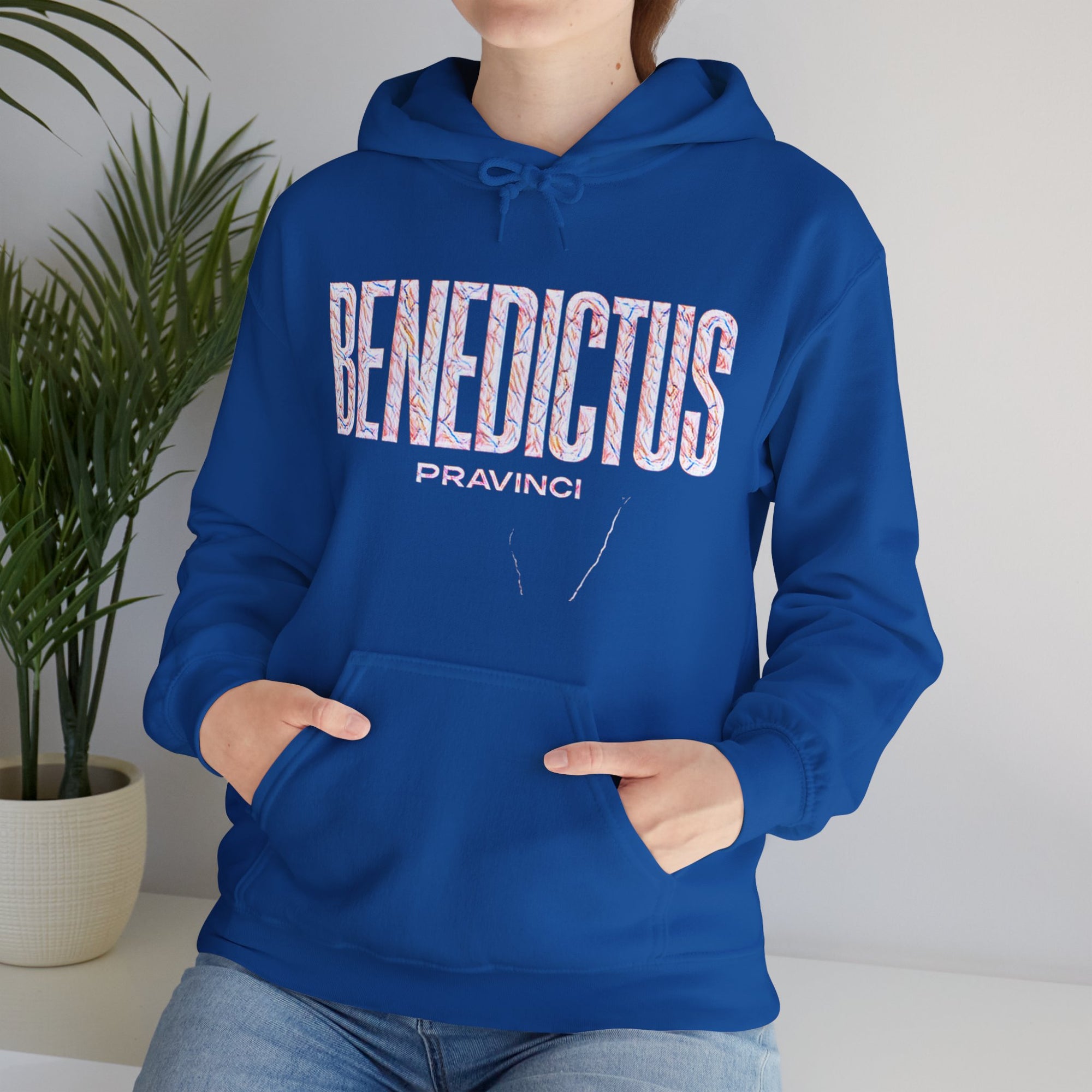 Pravinci Benedictus Labor Iridescente – Blue Hooded Sweatshirt