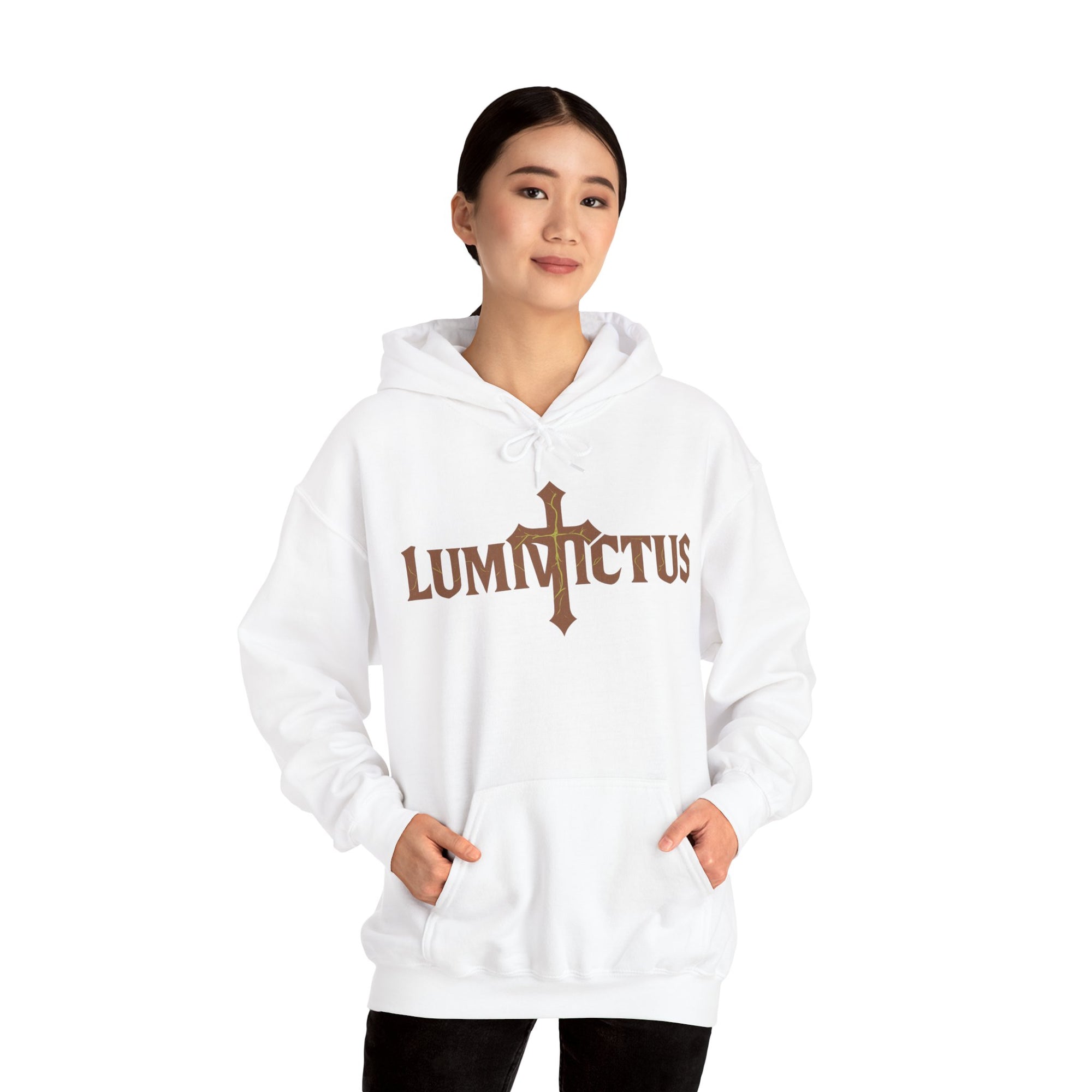 Pravinci Lumivictus Iridescente Brown - Hooded Sweatshirt