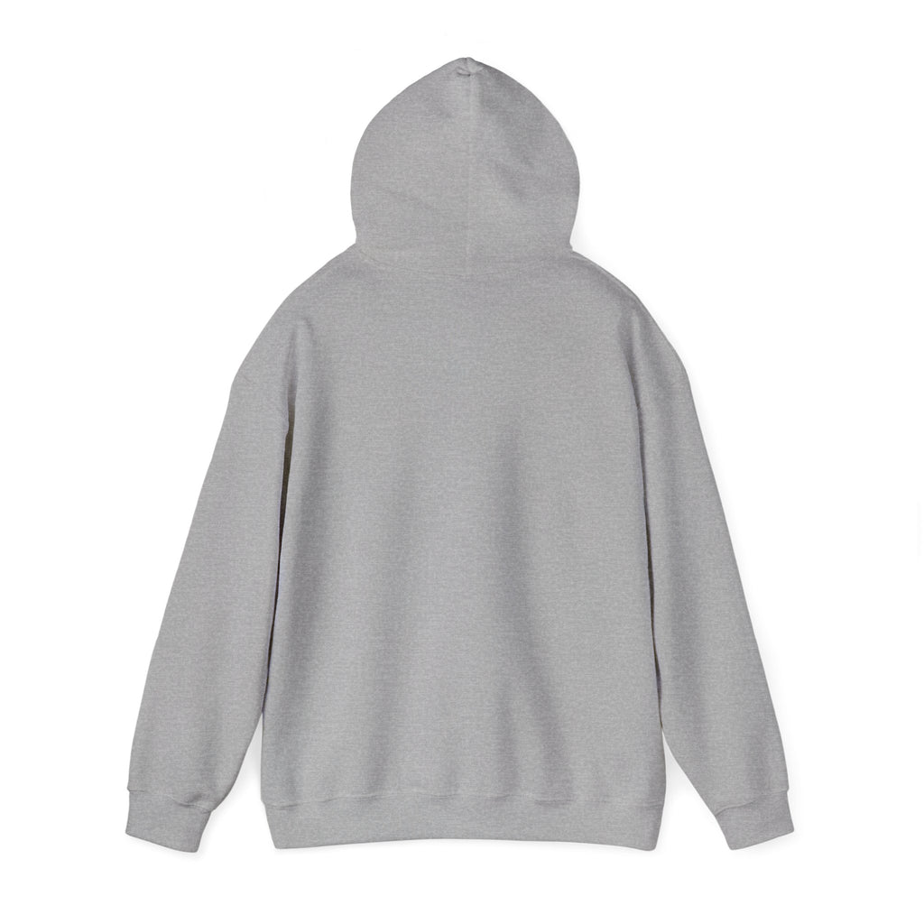 Pravinci Core Hoodie - Grey