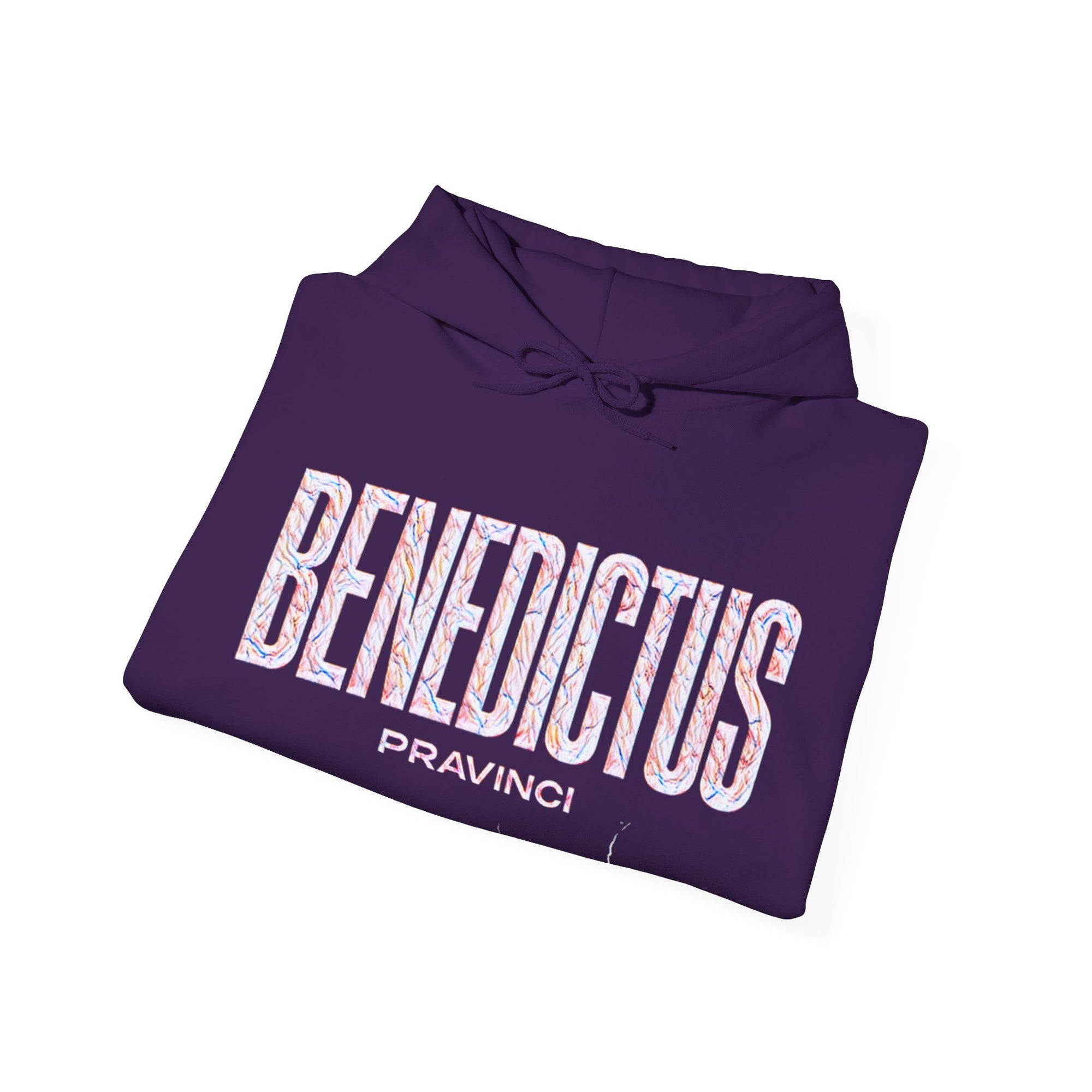 Pravinci Benedictus Labor Iridescente – Purple Hooded Sweatshirt