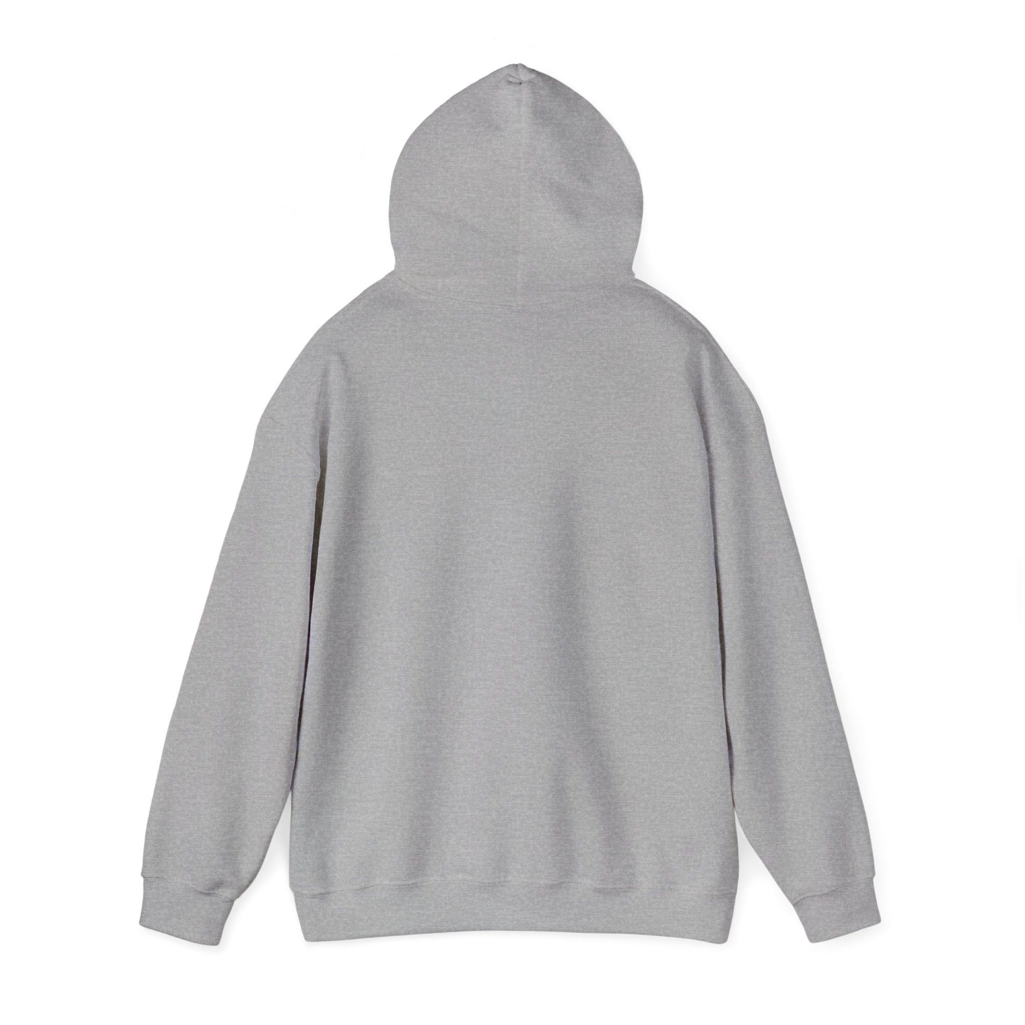 Pravinci Core Hoodie - Grey