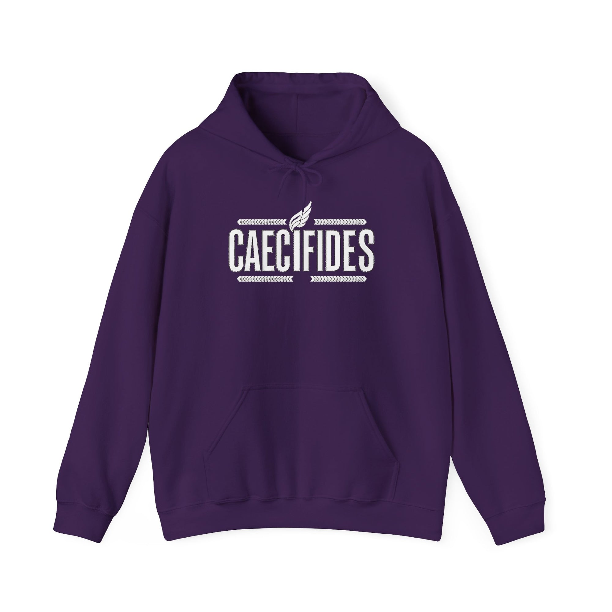 Pravinci Caecifides Monocromia – Purple Hooded Sweatshirt