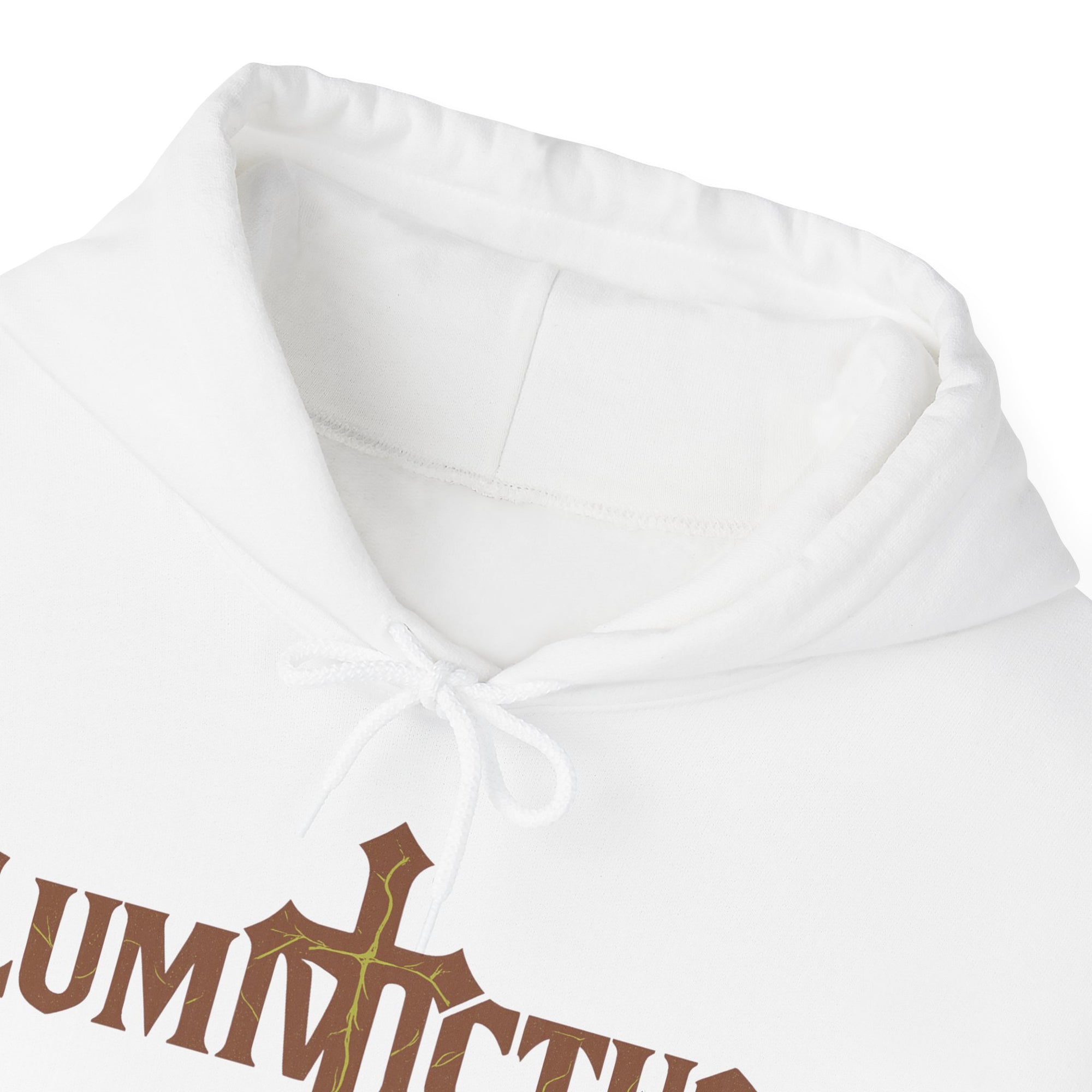 Pravinci Lumivictus Iridescente Brown - Hooded Sweatshirt