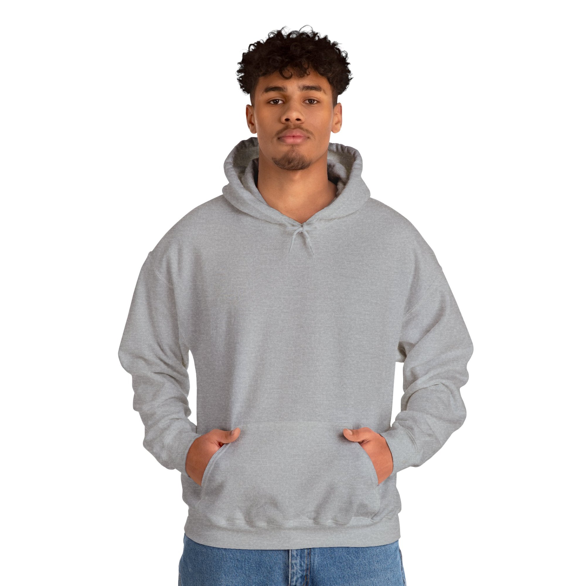 Pravinci Core Hoodie - Grey