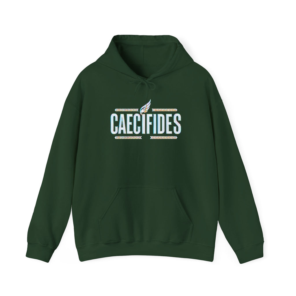 Pravinci Caecifides Iridescente – Dark Green Hooded Sweatshirt