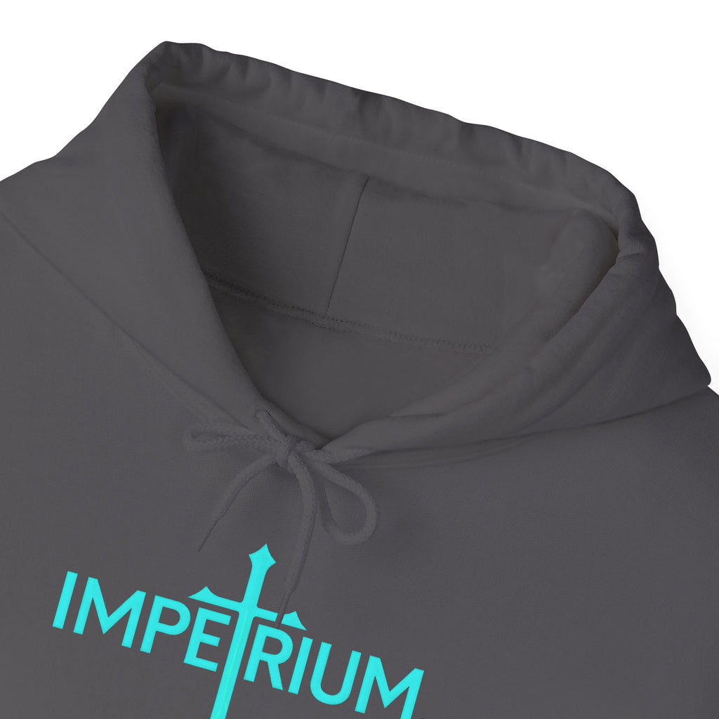 Pravinci Imperium - Charcoal Hooded Sweatshirt