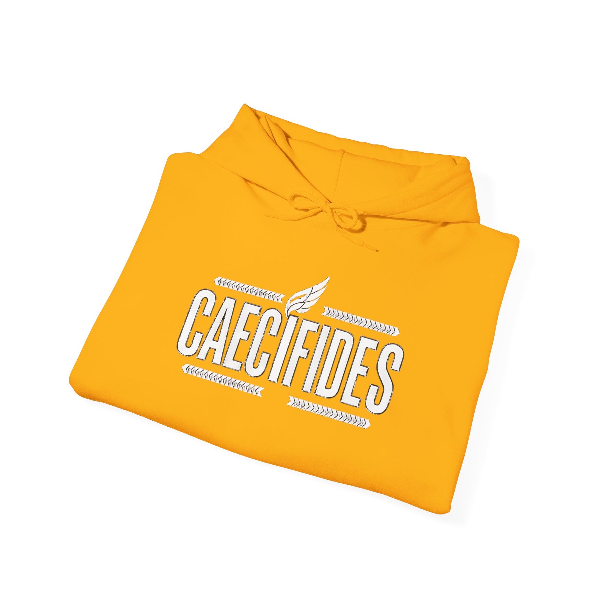 Pravinci Caecifides Monocromia – Gold Hooded Sweatshirt