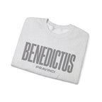Pravinci Benedictus Labor Monocromia – Ash Sweatshirt