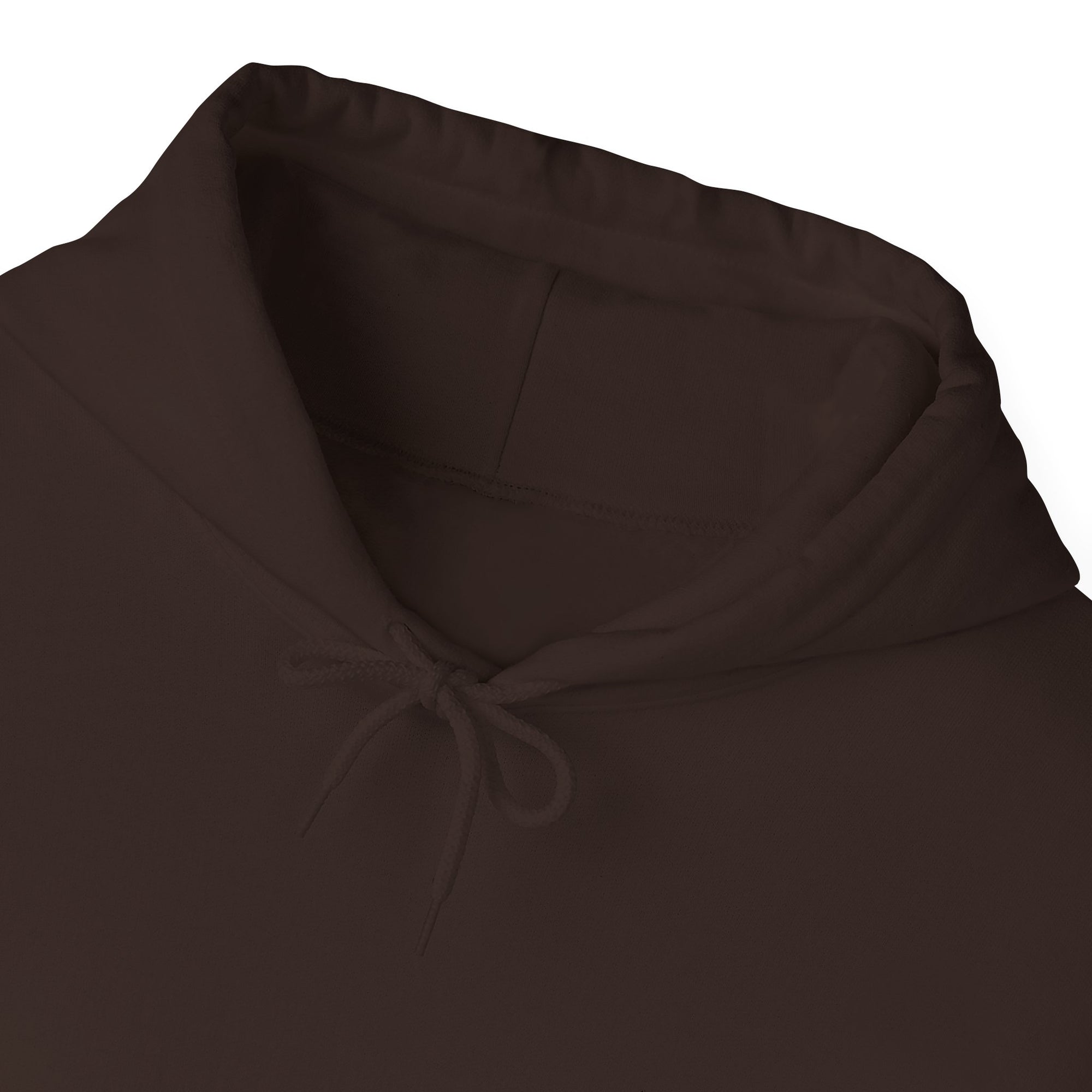 Pravinci Lumivictus Iridescente Olive Green - Hooded Sweatshirt