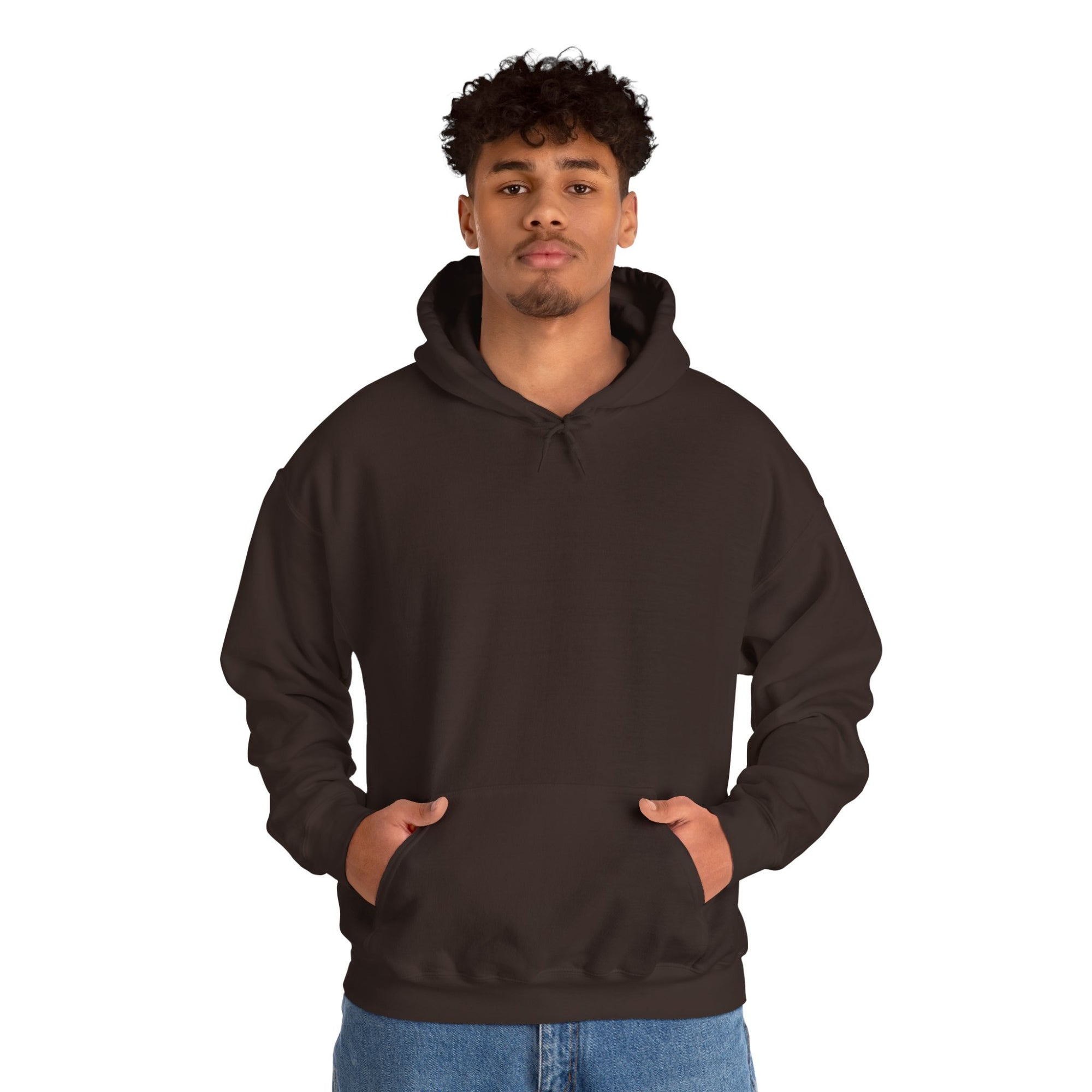 Pravinci Lumivictus Iridescente Blue Green - Hooded Sweatshirt