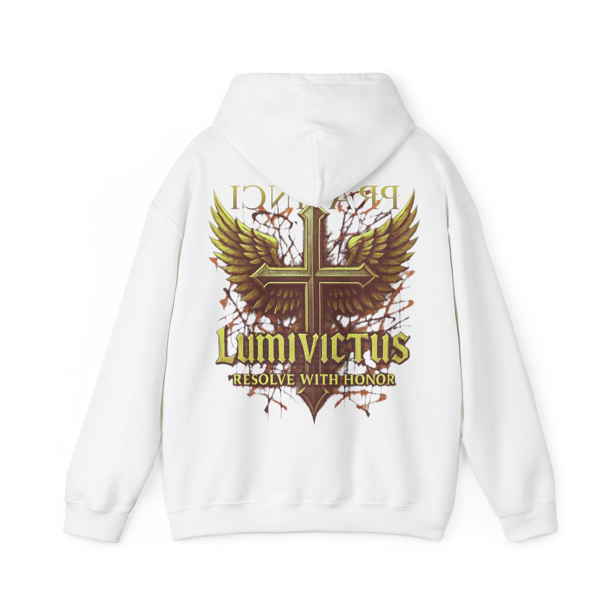 Pravinci Lumivictus Iridescente Brown - Hooded Sweatshirt