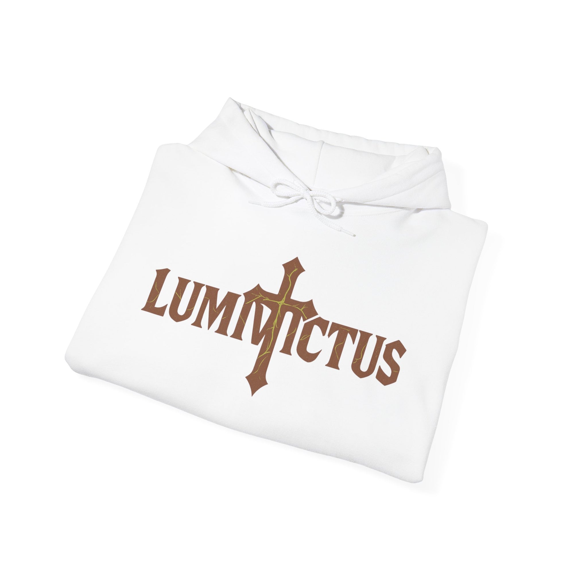 Pravinci Lumivictus Iridescente Brown - Hooded Sweatshirt