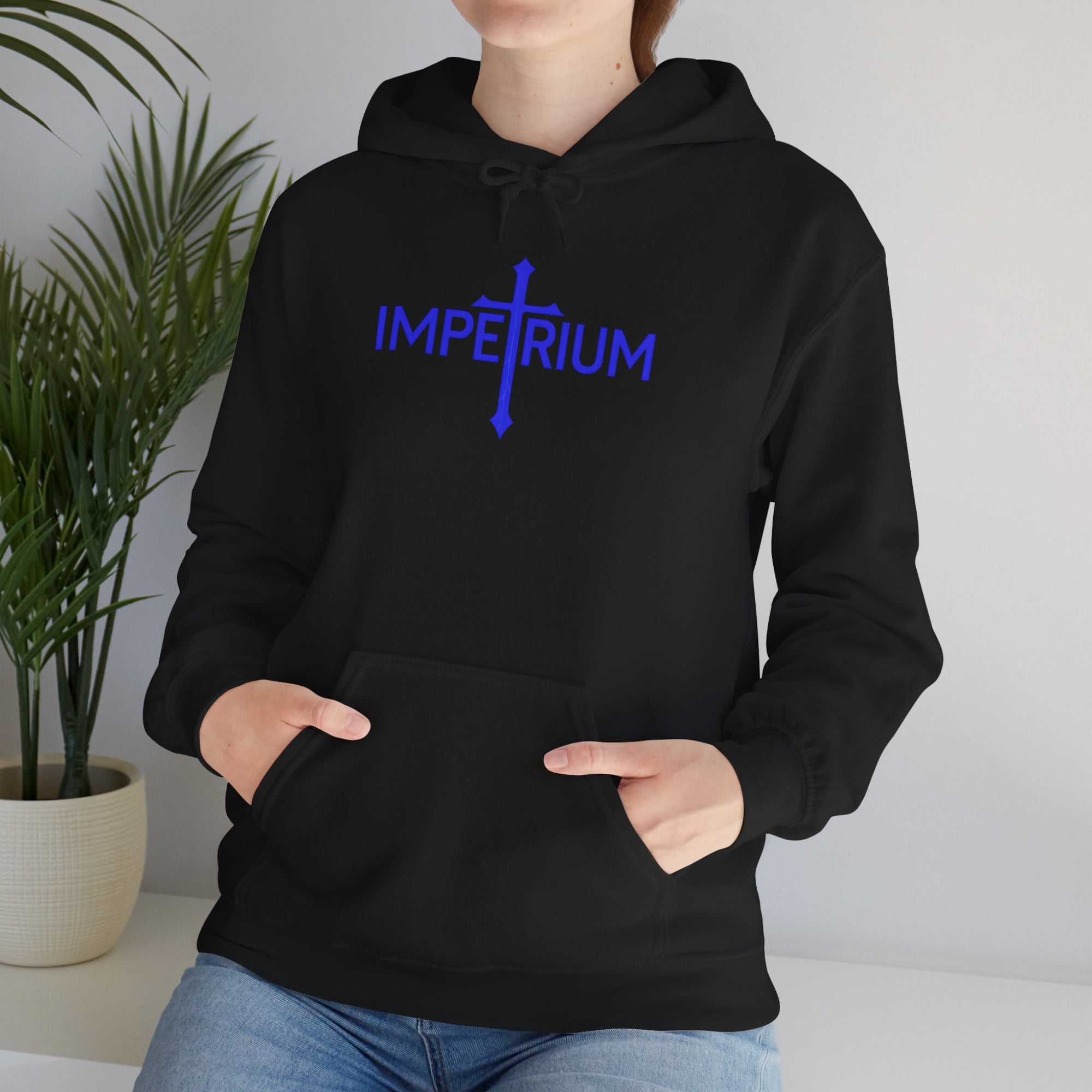 Pravinci Imperium - Black Hooded Sweatshirt