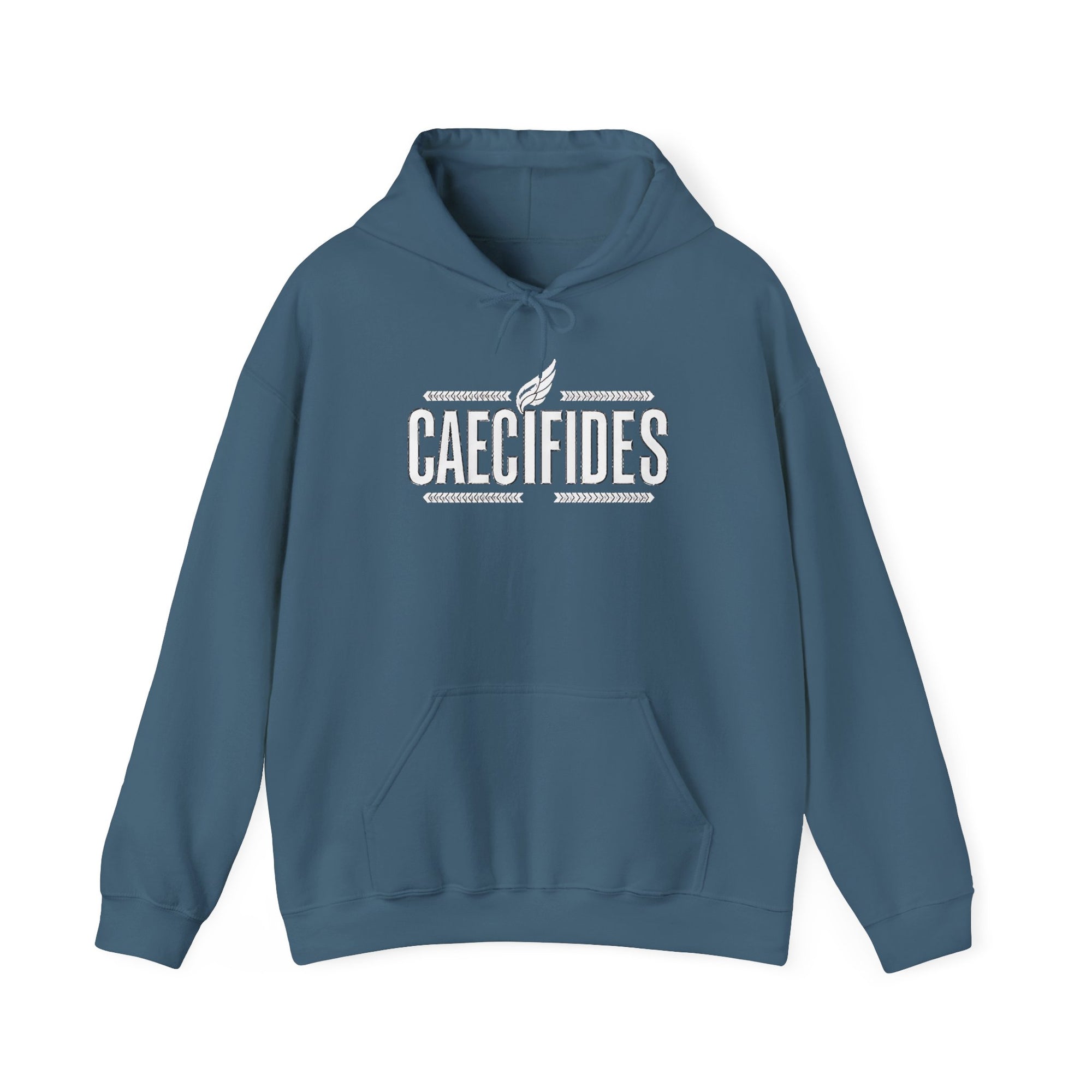 Pravinci Caecifides Monocromia – Indigo Blue Hooded Sweatshirt