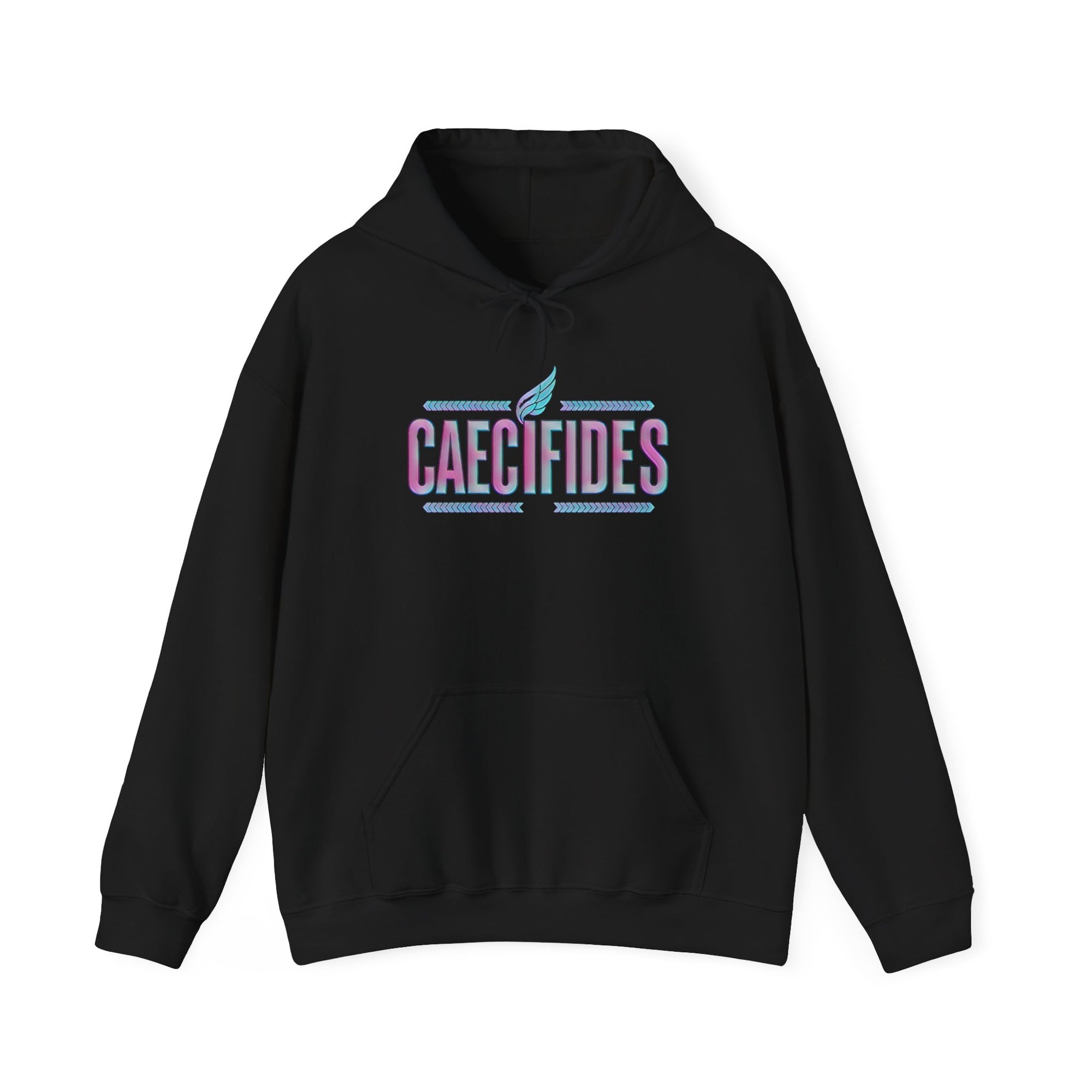 Pravinci Caecifides Iridescente – Black Hooded Sweatshirt