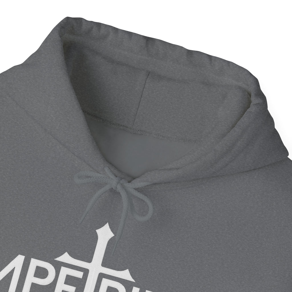 Pravinci Imperium Monocromia - Graphite Heather Hooded Sweatshirt
